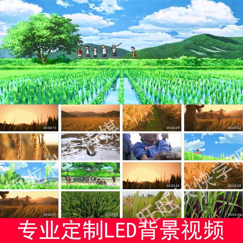 歌曲稻香配乐背景 视频led 大屏幕高清舞蹈视频背景