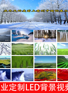 V24731 在冬天的麦苗上看到中国的春天伴奏朗诵背景视频学生