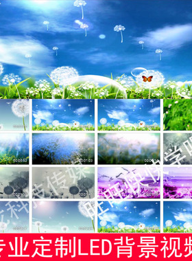 蒲公英211128背景视频LED大屏幕背景视频