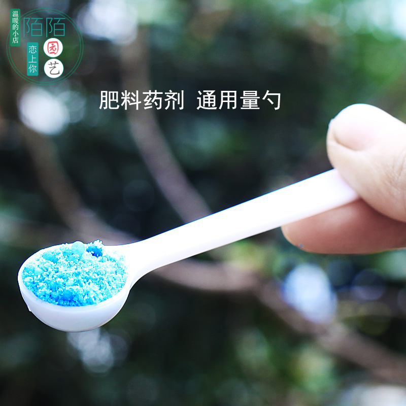 一克盐勺称量园艺工具