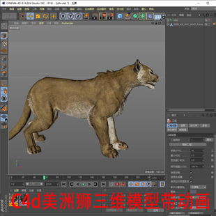 美洲狮3d三维模型带骨骼绑定美洲狮模型源文件动画素材 c4d美洲狮