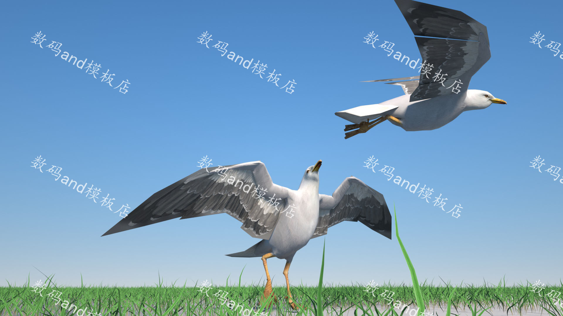 海鸥3d模型动画海鸥模型素材obj,fbx,maya海鸥 3dsmax海鸥c4d海鸥属于什么档次？