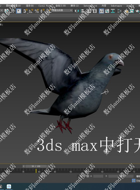 c4d鸽子模型骨骼绑定objfbx3d素材maya3dsmax虚幻ue4 blende鸽子