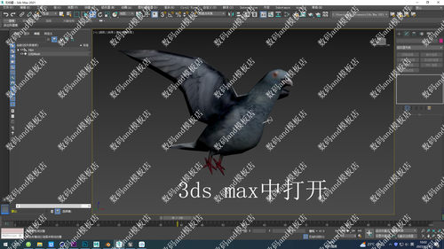 c4d鸽子模型骨骼绑定objfbx3d素材maya3dsmax虚幻ue4 blende鸽子
