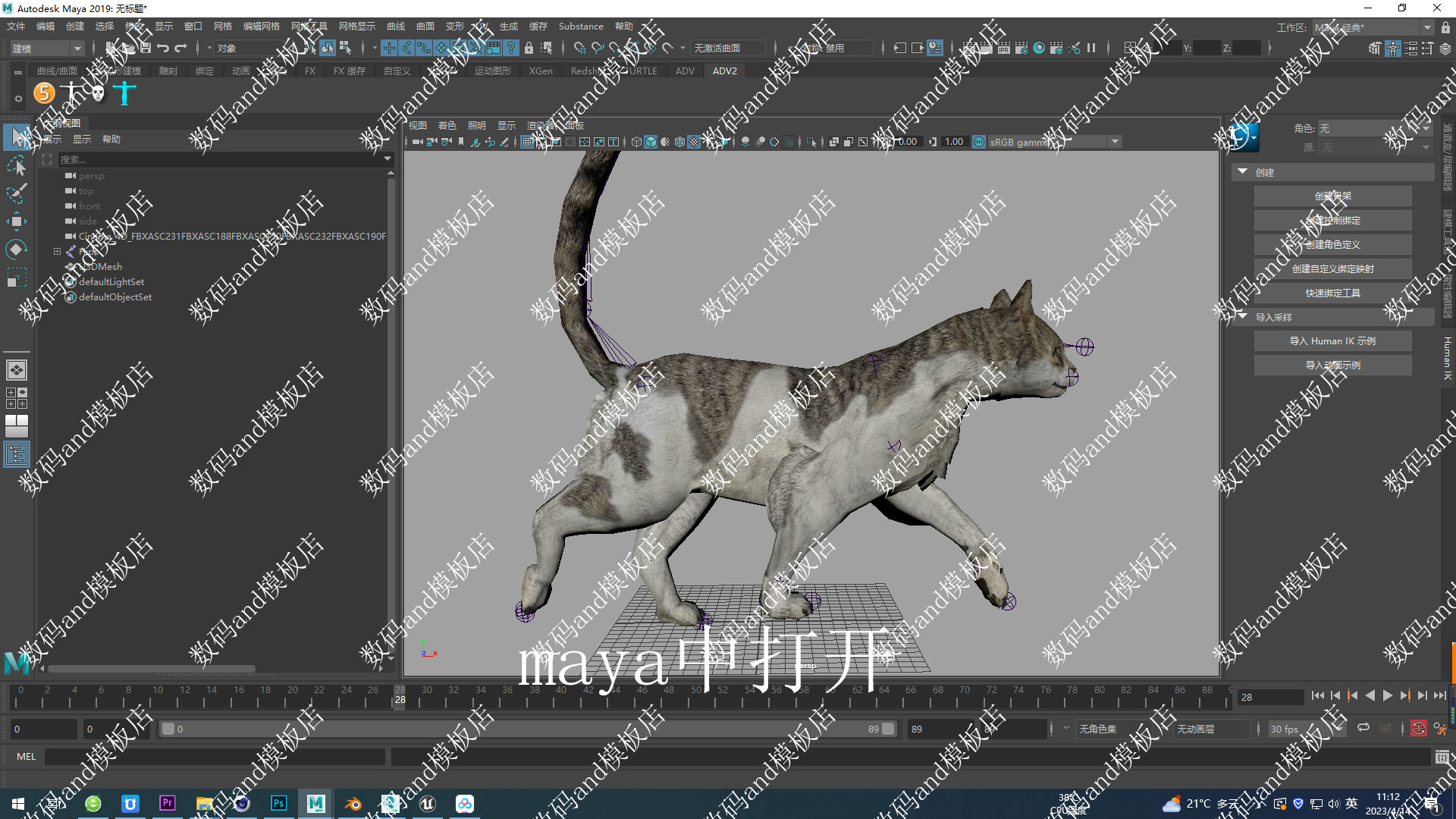 猫骨骼绑定动画模型三维3dobjfbxmaya3dsmaxc4d虚幻4ue4 blende猫