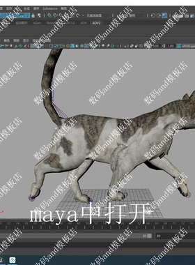猫骨骼绑定动画模型三维3dobjfbxmaya3dsmaxc4d虚幻4ue4 blende猫