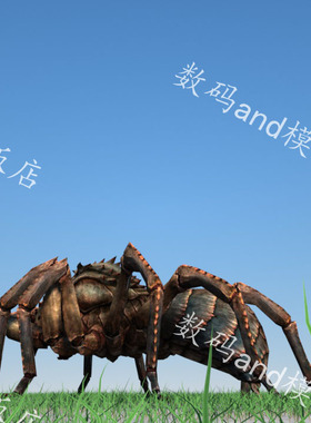 蜘蛛3d模型动画素材objfbx,maya蜘蛛3dsmax虚幻ue4blenderc4d蜘蛛