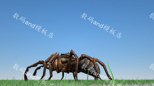 蜘蛛3d模型动画素材objfbx,maya蜘蛛3dsmax虚幻ue4blenderc4d蜘蛛