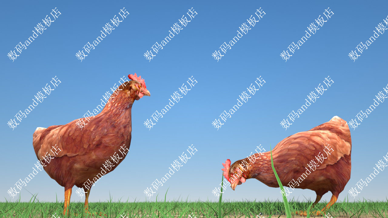 c4d母鸡动画3d模型绑定奔跑fbx maya鸡obj行走3dsmax虚幻ue4c4d鸡