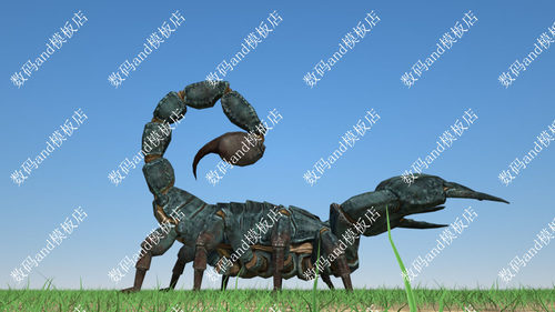 蝎子3d模型绑定动画素材objfbxmaya3dsmax虚幻ue4blender c4d蝎子