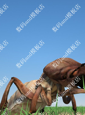 C4D白蚁骨骼绑定模型动画objfbx3d素材maya3dsmax虚幻ue4blende蚁