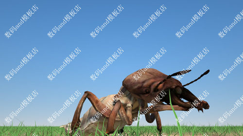 C4D白蚁骨骼绑定模型动画objfbx3d素材maya3dsmax虚幻ue4blende蚁