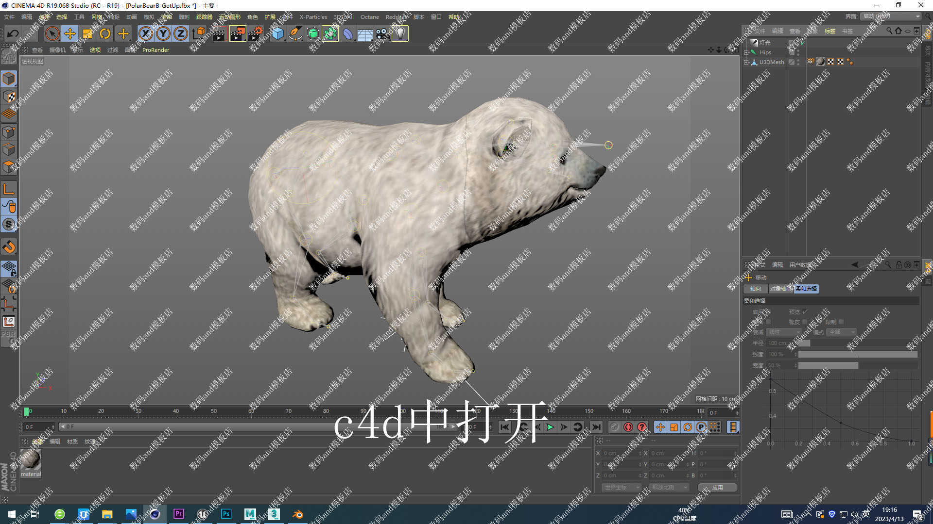 小北极熊骨骼绑定模型objfbxmaya3dsmaxc4d虚幻4ue4 blende北极熊