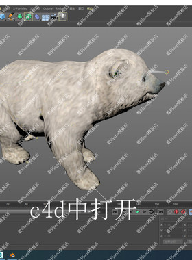 小北极熊骨骼绑定模型objfbxmaya3dsmaxc4d虚幻4ue4 blende北极熊