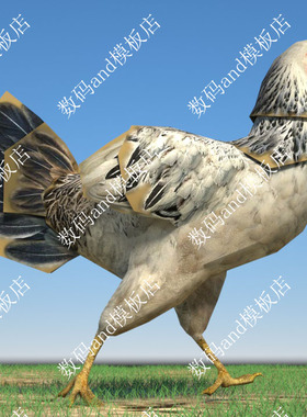 鸡3d模型骨骼绑定objfbx素材maya3dsmax虚幻ue4 blende c4d芦花鸡