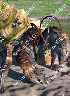 寄居蟹3d模型绑定objfbx素材maya3dsmax虚幻ue4 blende c4d寄居蟹