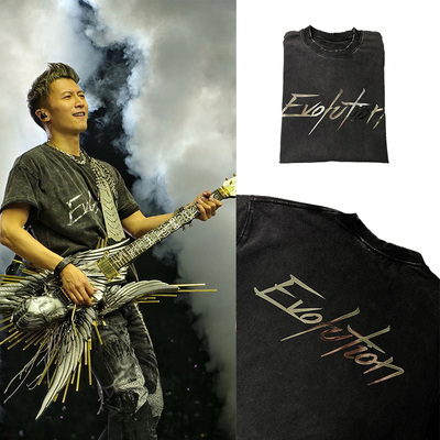 Evolution谢霆锋2025进化演唱会同款短袖t恤洗水做旧磨破半袖上衣