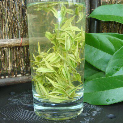 2026年新茶安吉白茶500克 特级雨前茶珍稀绿茶正宗原产地茶叶