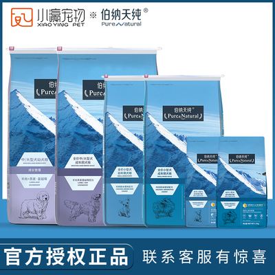 伯纳天纯金毛萨摩法斗通用型幼犬