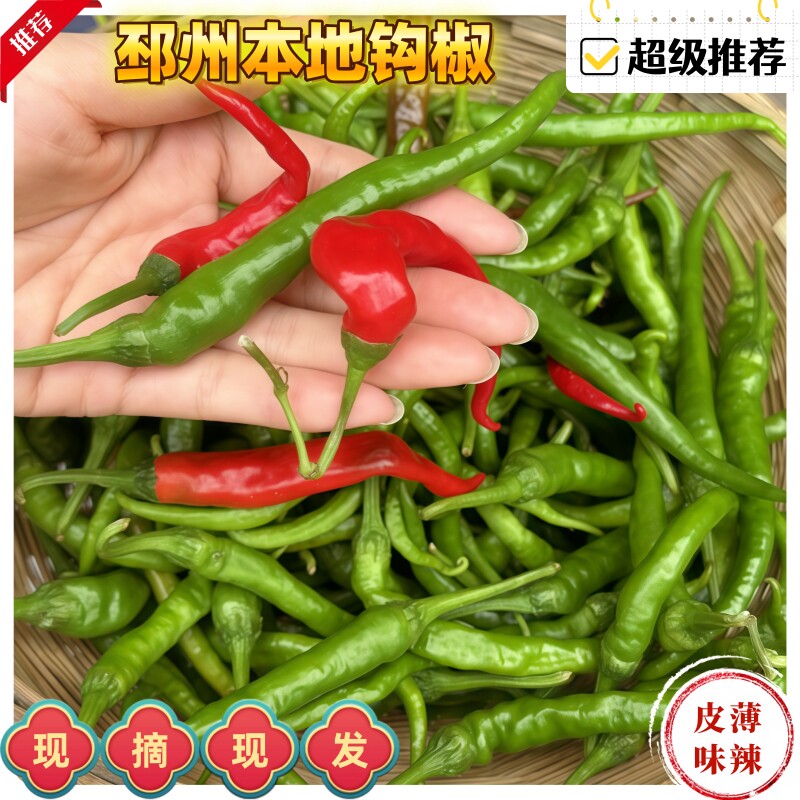 邳州钩椒薄皮特辣产地批发