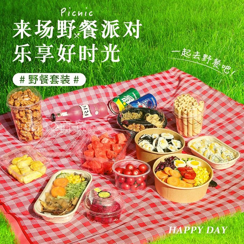 一次性踏青郊游春游野餐露营懒人收纳打包套装餐盒环保碗盘刀叉勺,收纳整理,食物收纳盒,淘宝优惠券,粉丝福利购,淘宝优惠卷