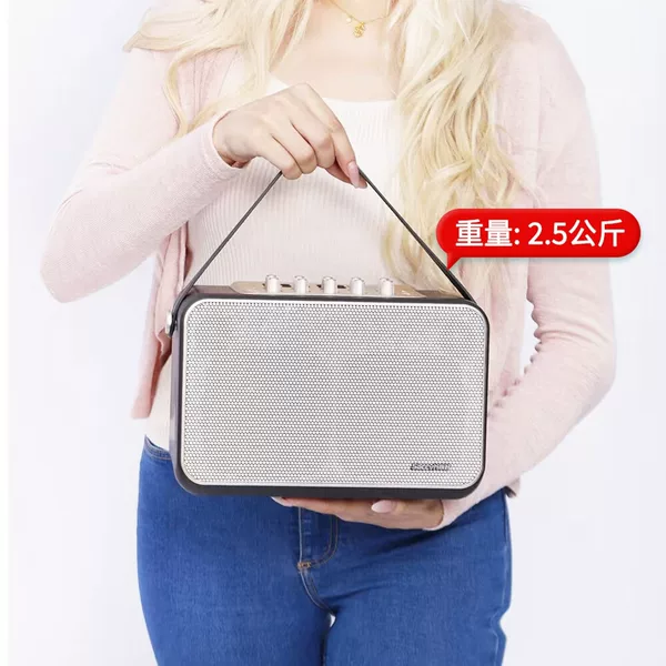 Товары от 艾顿乐器专营店