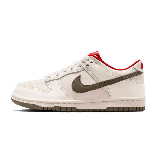 nike耐克大童鞋DUNK运动鞋休闲鞋IQ9793-020