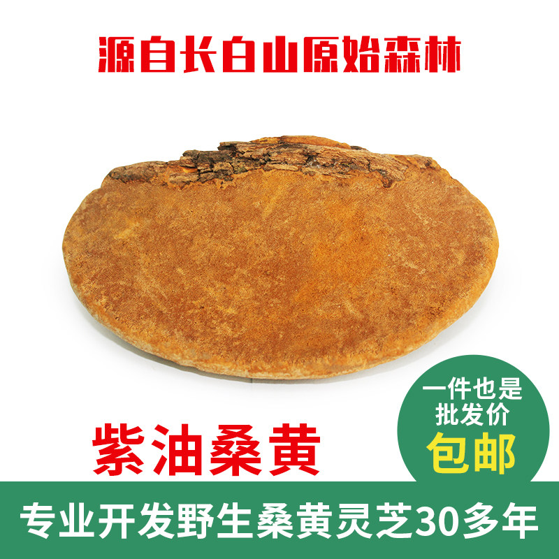 桑黄野生灵芝紫油桑黄网上冒充西藏桑树桑黄分辨难度大1公斤700元