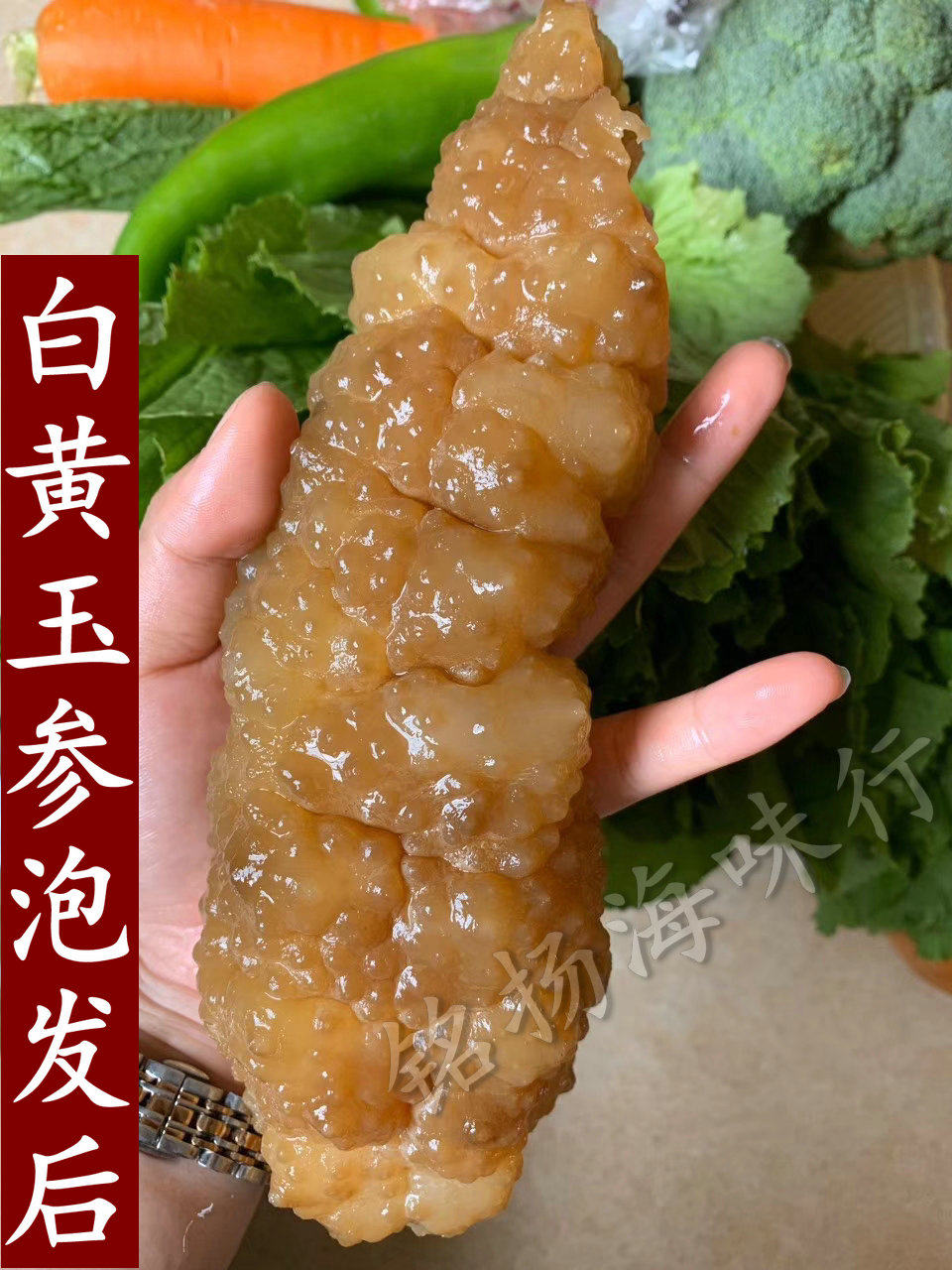 海参干货马尔代夫白黄玉参纯淡干肉质好深海野生干海参500g黄肉参