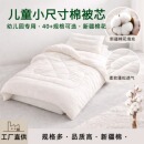 儿童棉被棉芯幼儿园被芯内胆纯棉秋冬垫芯垫被床垫褥子被子芯内胆