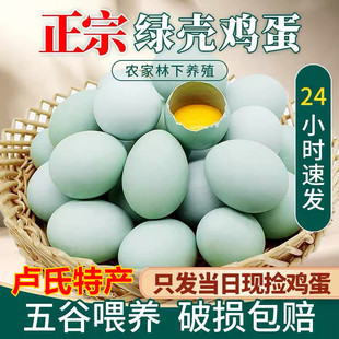 卢氏特产绿壳鸡蛋新鲜正宗土鸡蛋农家散养富硒土鸡蛋40枚包邮