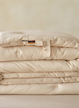 亚麻棉A类抗菌被棉麻被芯双人盖被春秋被子加厚保暖冬被四季被芯