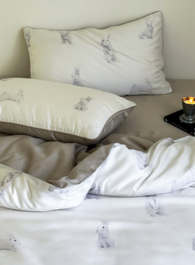 ColdMoon兔子韩国设计师款北欧兰精天丝床品春夏软滑床笠四件套件