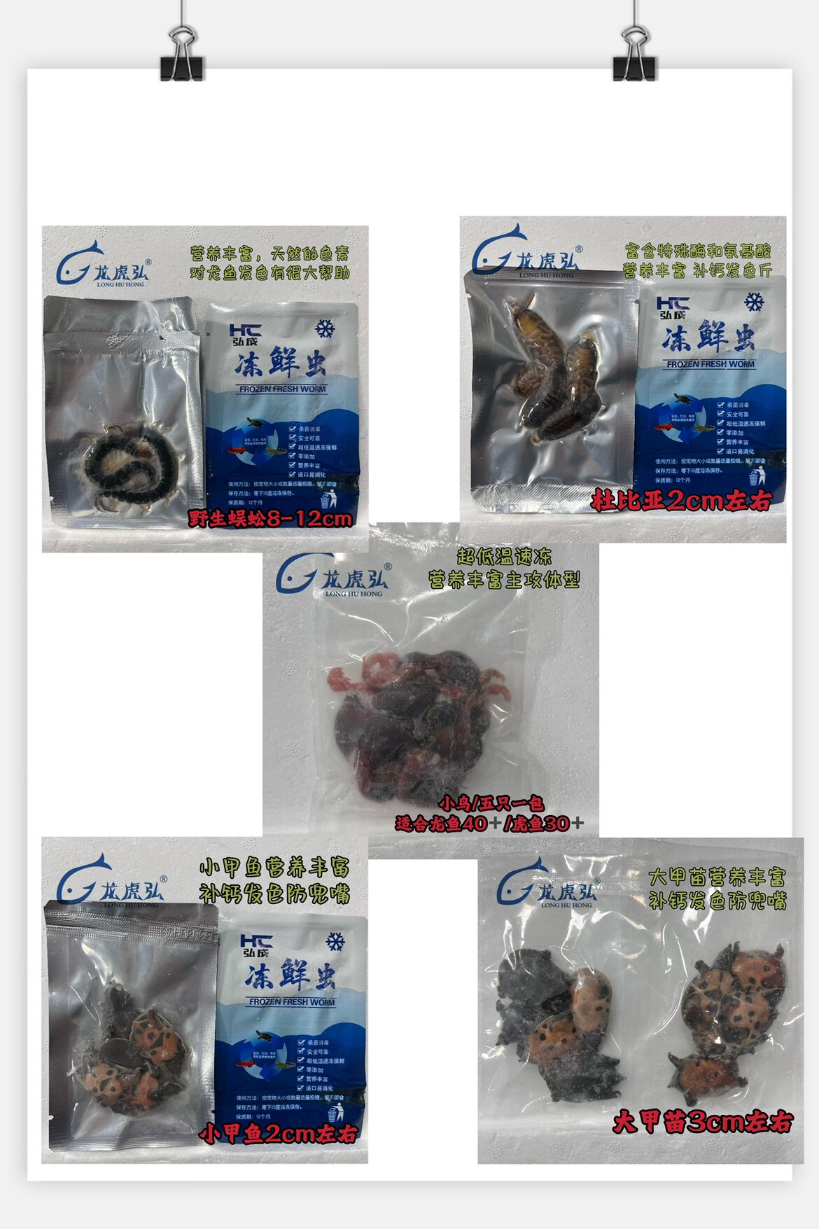 补钙发色龙鱼小零食小甲鱼龙虎弘
