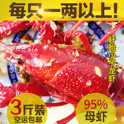 【盱眙小子龙虾】 十三香 麻辣小龙虾  秘制配方 盱眙龙虾