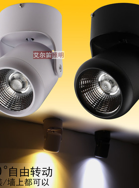 led射灯3W客厅天花电视背景墙灯 吸顶式万向照画聚光墙壁明装射灯