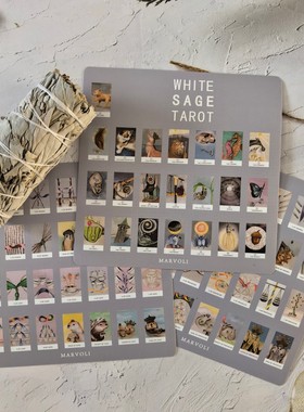 韦特塔罗牌手账贴纸免裁切pvc防水15×25毫米78张