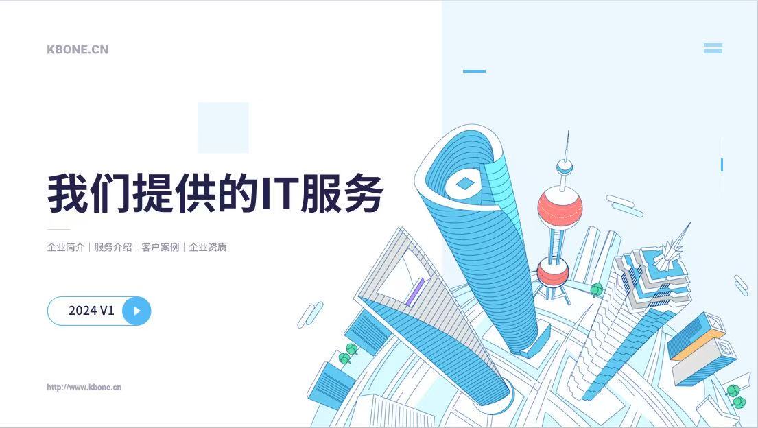 上海IT信息技术服务