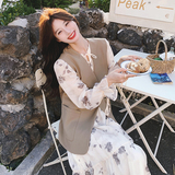 韩版设计感水墨画连衣裙套装女2025春秋季新款PU皮马甲长裙两件套，女装套装/套裙，2C069