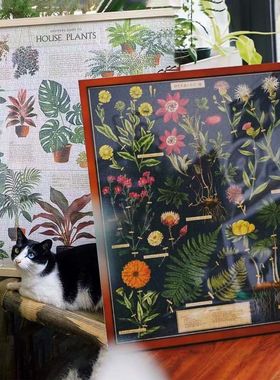 美国Cavallini复古拼图木质1000片相框植物成人解压定制礼物玩具