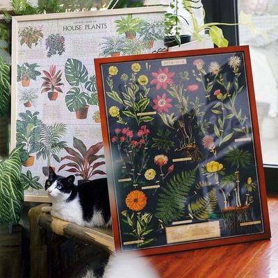 美国Cavallini复古拼图木质1000片相框植物成人解压定制礼物玩具