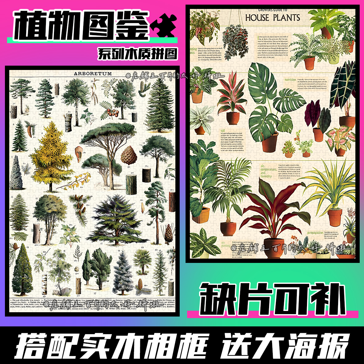 cavallini植物拼图木质1000片相框成人解压治愈益智定制礼物玩具