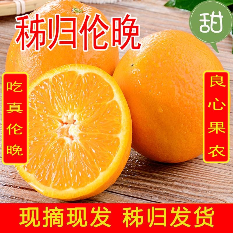 湖北省秭归县伦晚春橙带箱10斤应季新鲜水果榨汁橙现摘现发手剥橙_虎窝淘