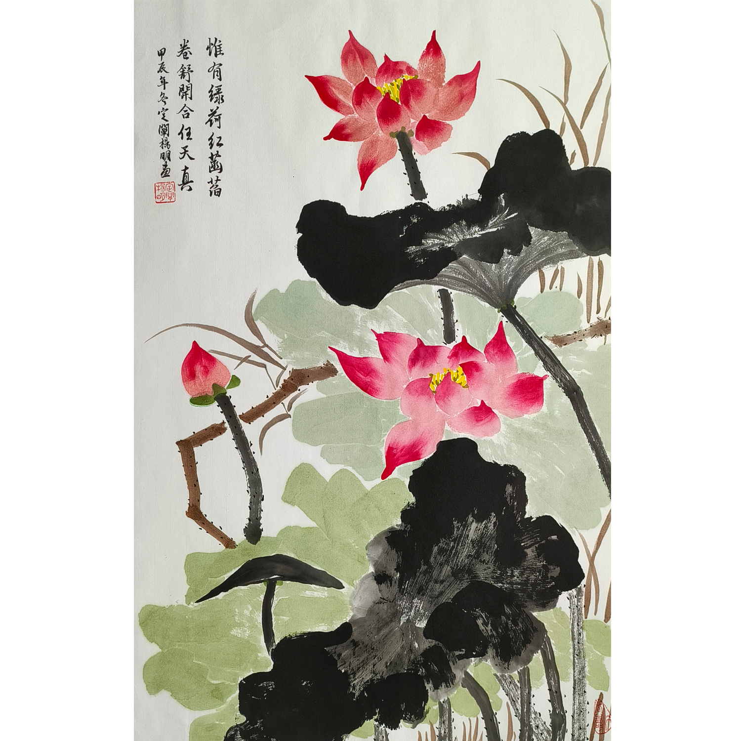 定阐杨明花鸟国画荷花，客厅卧室装饰收藏，46×69cm，纯手绘包邮图片