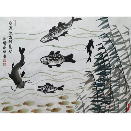 定阐杨明的国画鱼戏图，35×46