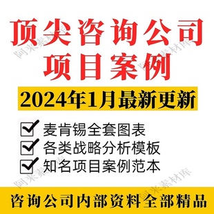 国际咨询公司项目案例报告麦肯锡BCG咨询方案建议书PPT模板范本新