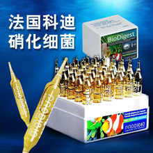 法国科迪硝化细菌针剂液体鱼缸1