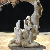 观装 手工拼接枯松仿真松树 盆景树枝实木造型树 饰树造景室内外树