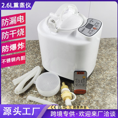2.6升大容量熏蒸仪蒸汽机发汗汗蒸箱家用泡脚木桶蒸汽桑拿房熏蒸