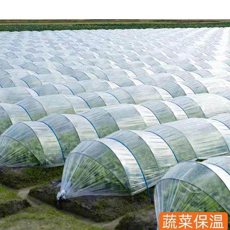 热销保温透拱棚二膜膜大棚二层薄内膜明白砂糖膜6s塑料橘小中膜其